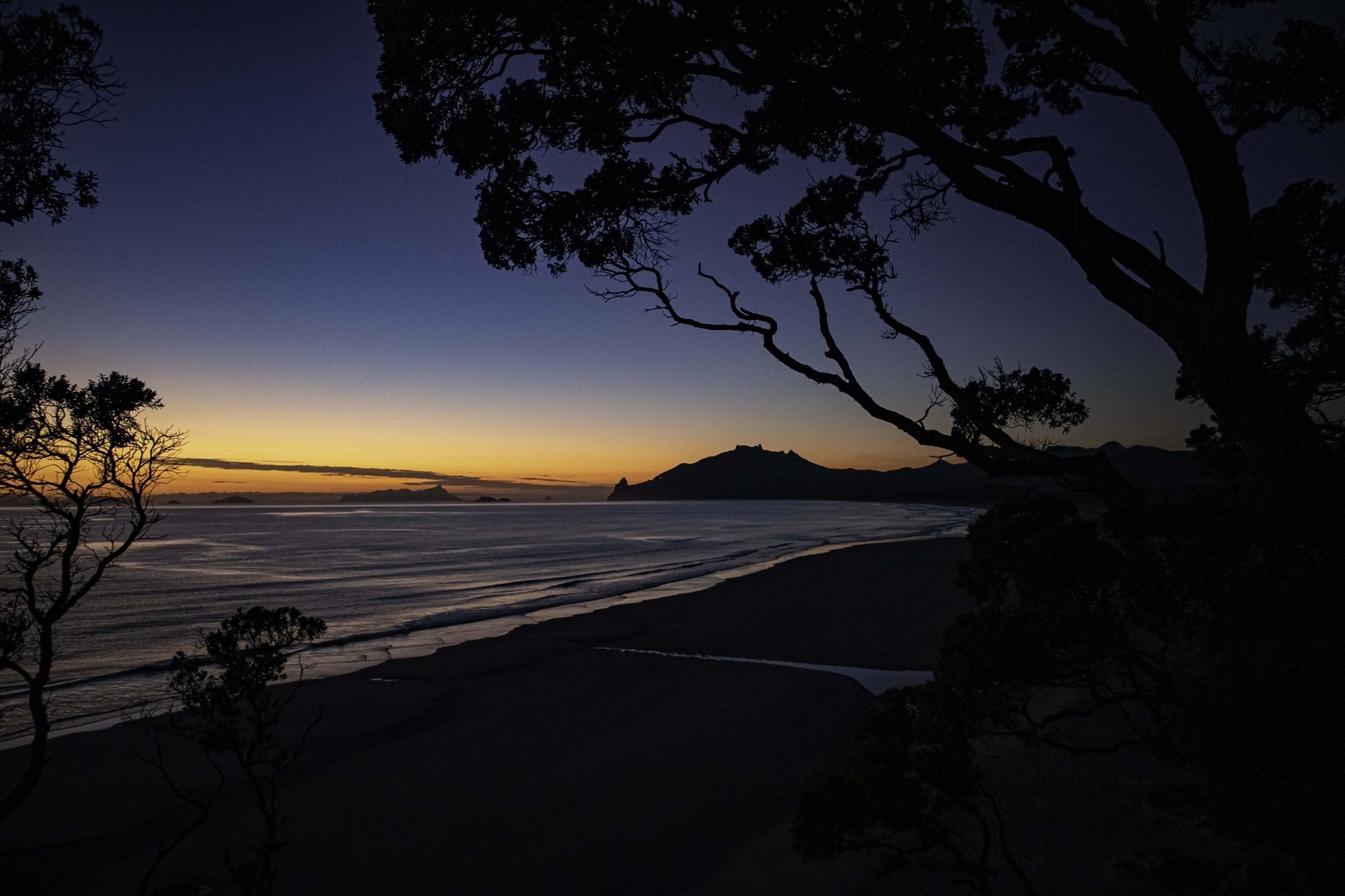 Kauri Mountain Morning - PCK Photography