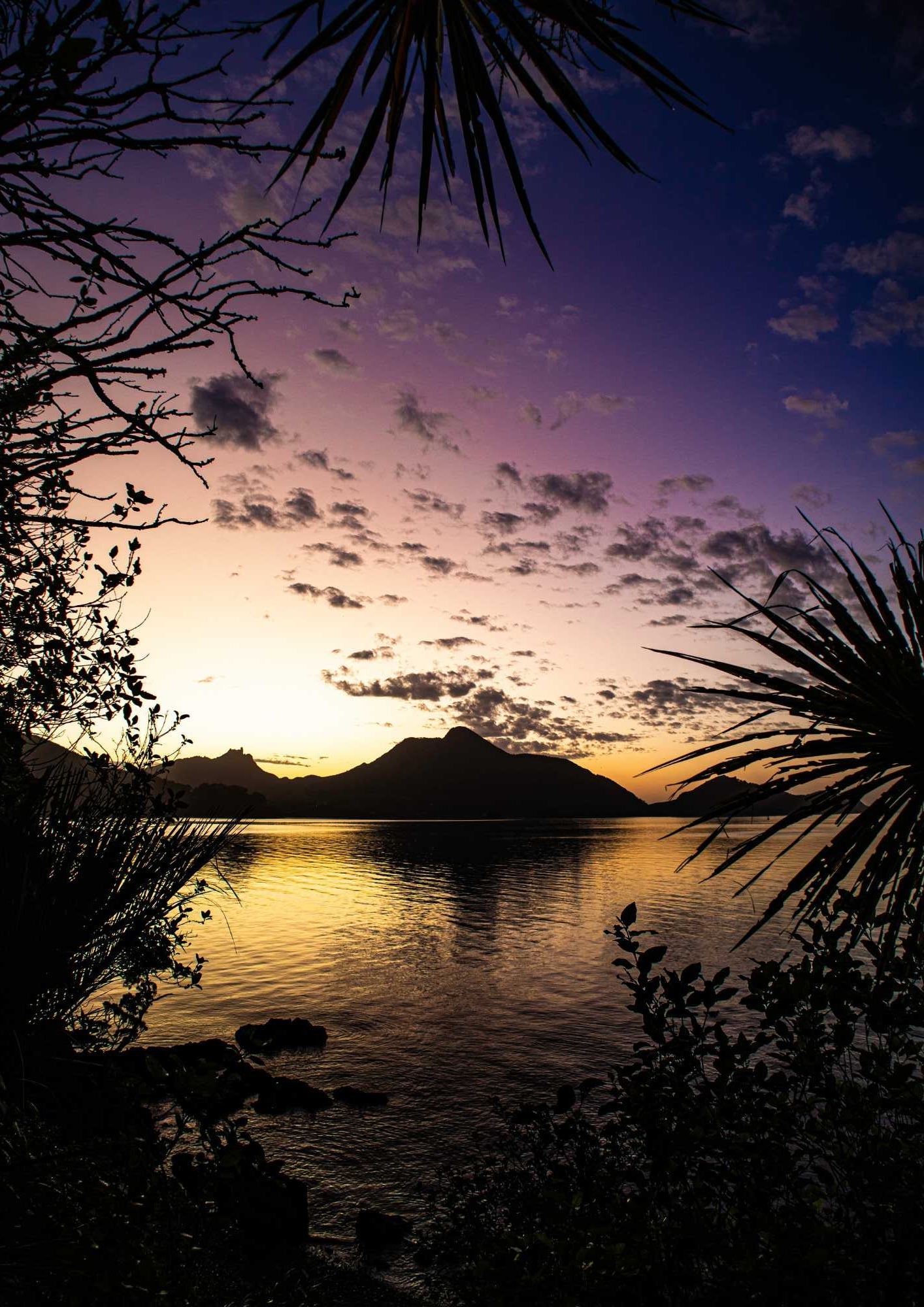 Little Munro Bay Portrait - PCK Photography