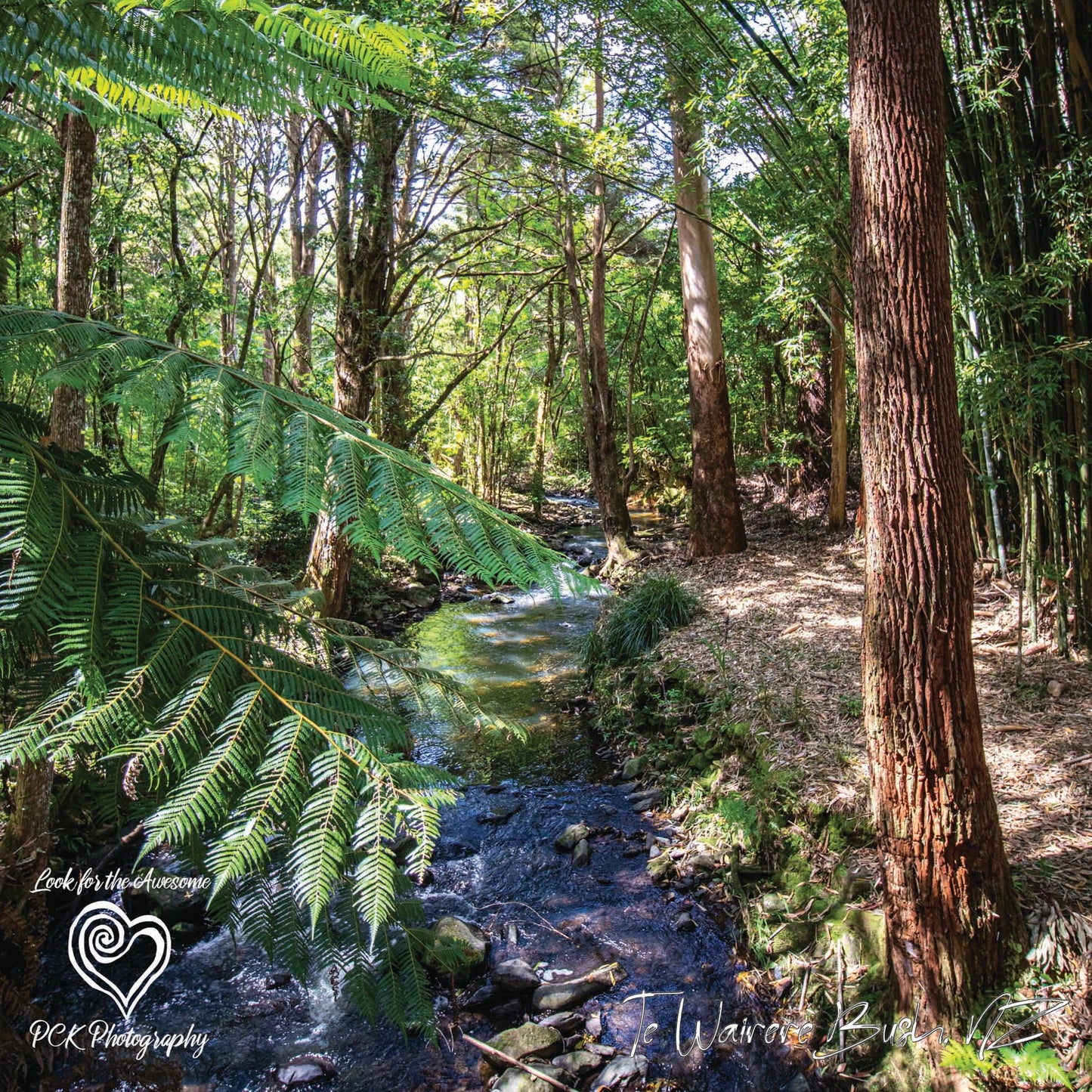 Te Wairere Bush Tote Bag - PCK Photography