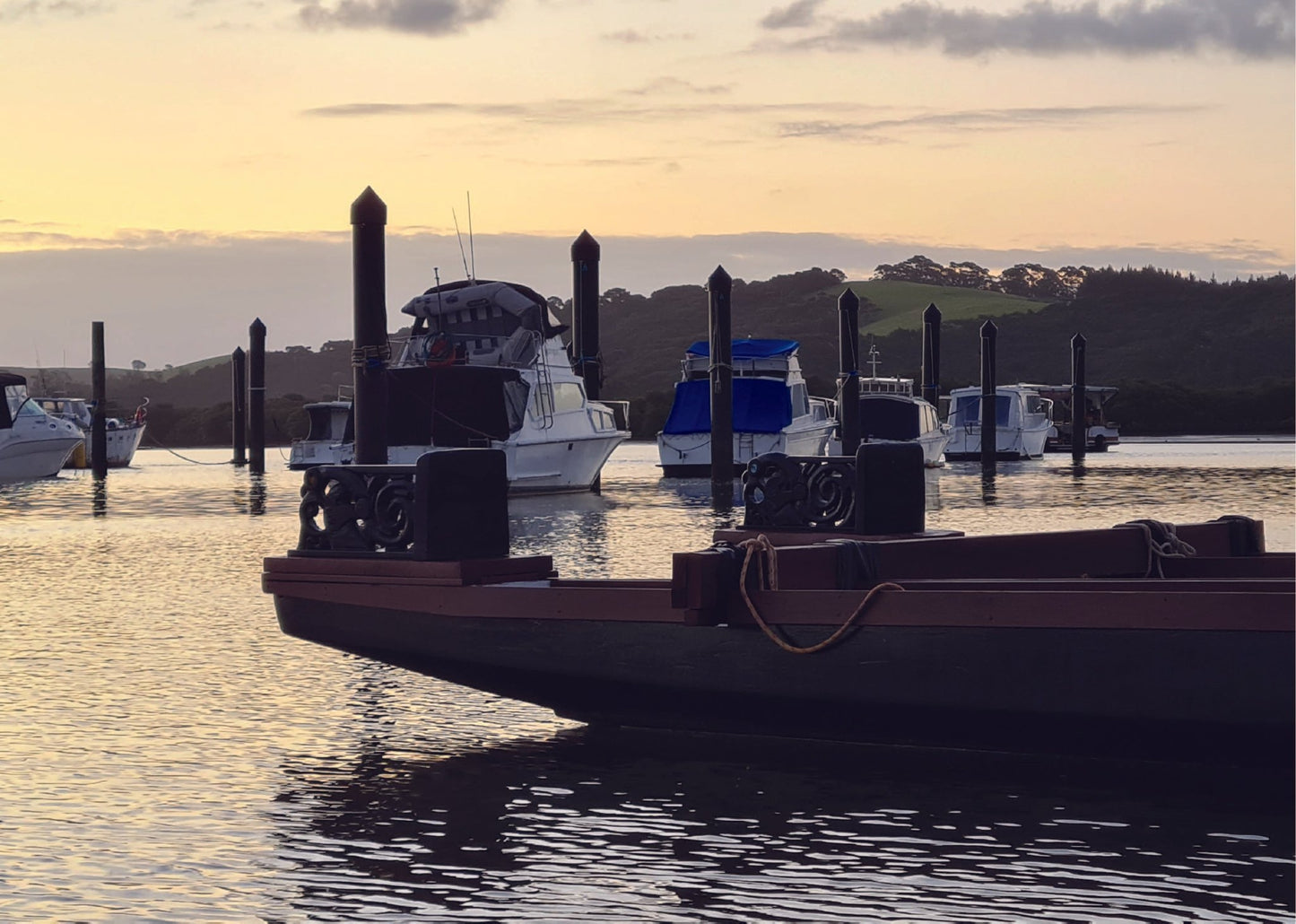 Waitangi Waka - PCK Photography